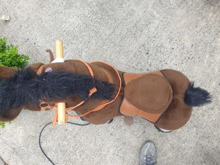 Pony Cycle Ride On Pony