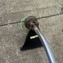 strimmer Image 3