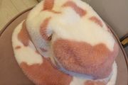 ladies hat blush pink /cream