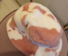 ladies hat blush pink /cream