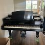 Grand Piano Paul Neumann Image 2