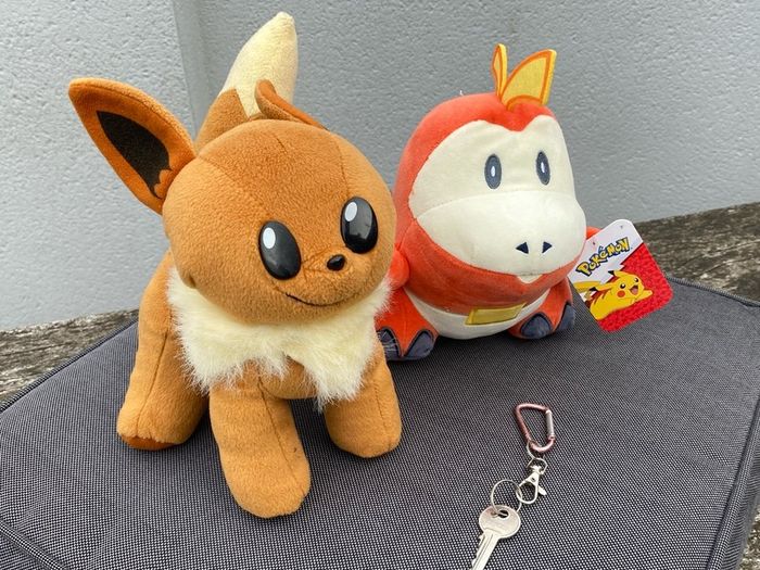 Two Pokemon plush - NEW Fuecoco & Eevee