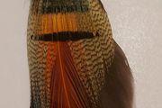 Mizpah scottish plume feathered broochl
