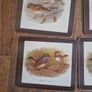 vintage tablemats Image 4