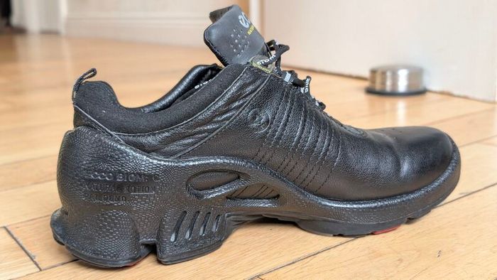 Ecco Biom C