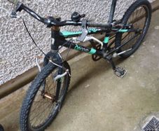 FREE bikes