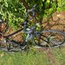 Like new Giant Defy 5 ML 700x25c wheels 2x8=16 speed 21 inch frame very good condition Image 7