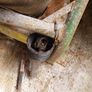 fertilizer spreader Image 4