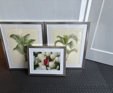 Framed prints