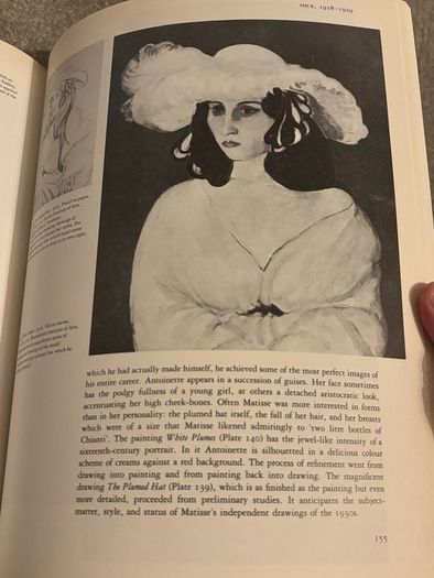 collectible art book of Matisse by Nicholas Watkins 1984