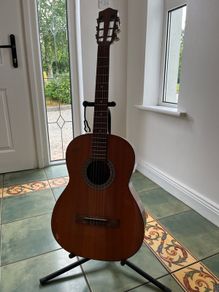 hofner nylon guitar