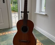 hofner nylon guitar
