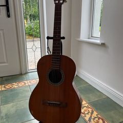 hofner nylon guitar