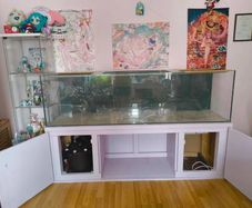 500 litre Aquarium with wired cabinet