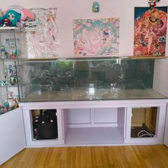 500 litre Aquarium with wired cabinet