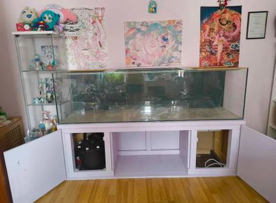 500 litre Aquarium with wired cabinet