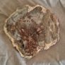 Fossilized wood, Madagascar, Triassic period. With metal display stand. Image 6
