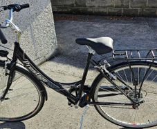 ladies bike