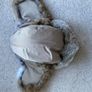 Real fur aviaton/trapper hat Image 7