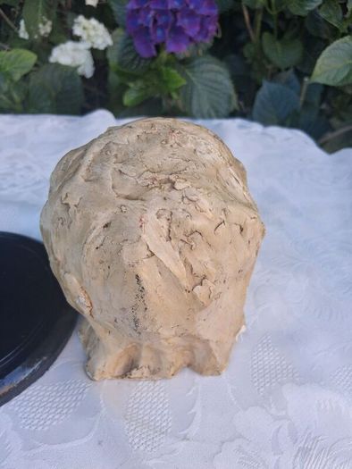 National College of Art Mid Century Paster Of Paris Mounted Bust