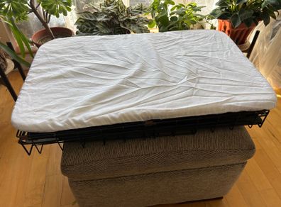Dog crate with foam mattress