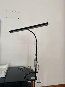 LED Desk Lamp