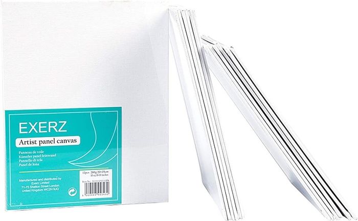 20x25cm Canvas Panels 12pcs 280GSM/ Artist Canvas Board 100% Cotton 0.3cm Thinkness/ Blank/ Triple Primed/ Acid Free/ Medium Grain