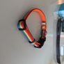 Dukier Rainbow Dog Collar (small) Image 5