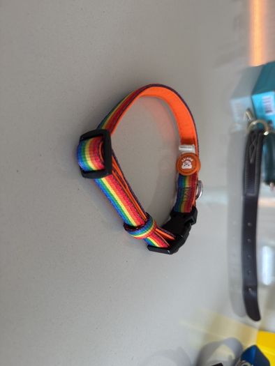 Dukier Rainbow Dog Collar (small)
