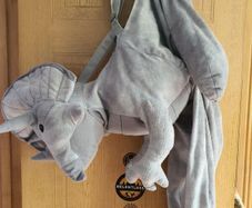 costume triceraptors