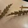 Brass Curtain Tie-Backs Image 4
