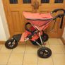 out and about buggy Image 3