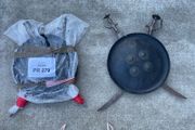 Victorian Indian shield (Dahl) and two swords (Tulwar) wall hangings a matching pair,