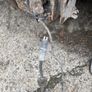 Parts for Renault Traffic 's and Opel Vivaro 2008s Image 8