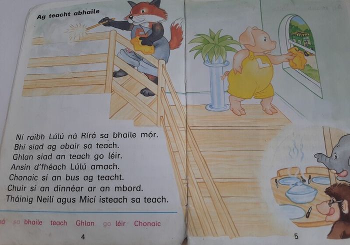 Fallons vintage Gaeilge books