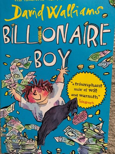 Billionaire boy - David Walliams
