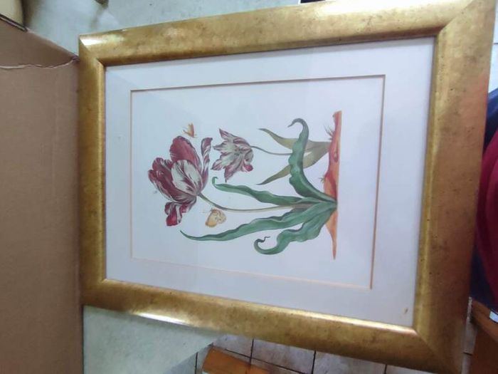 Framed Print Of Flower Still Life.