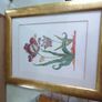 Framed Print Of Flower Still Life. Image 2
