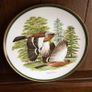 Vintage Franklin Porcelian woodland birds of the world 10 inch decorative plates Image 4