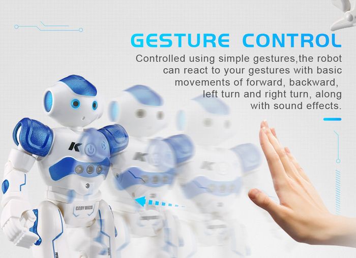 Gesture Control Intelligent Cady Robot