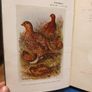 The Grouse in Health and Disease (1912) Image 6