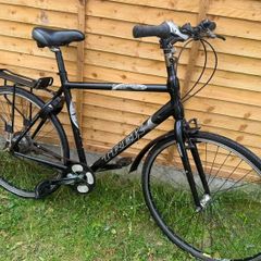 Adult bikes