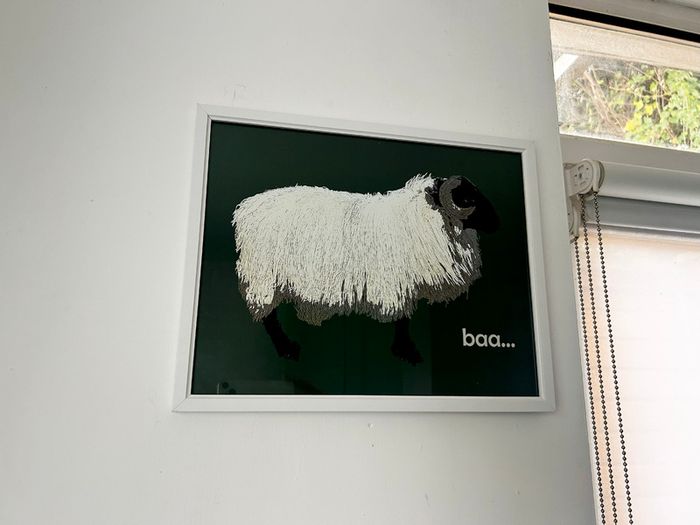 Blackface Mountain Sheep Achill, 2D framed 16 x 12 inch