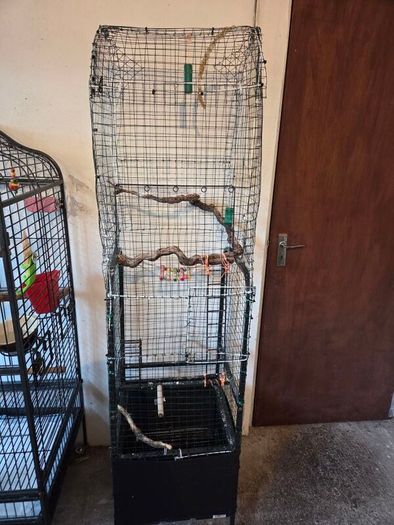 Bird Cage