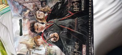 Harry Potter Wand