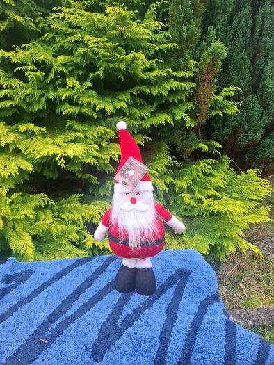 55cm brand new santa postage possible