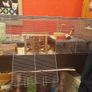 Hamster cage + full hamster kit Image 2