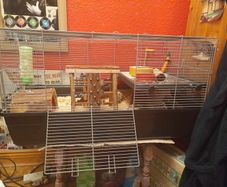 Hamster cage + full hamster kit
