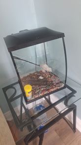 fish tank
