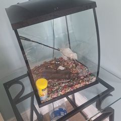 fish tank